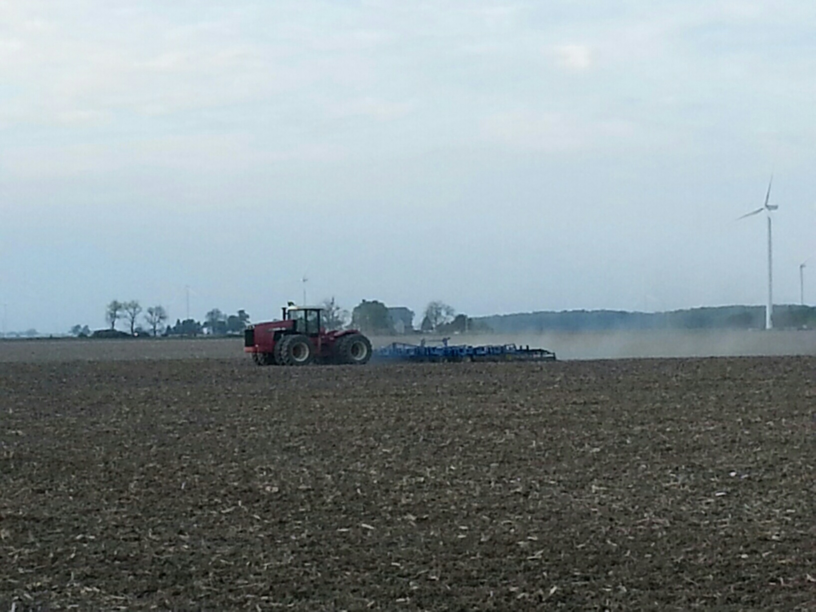 Corn Field Harvesting