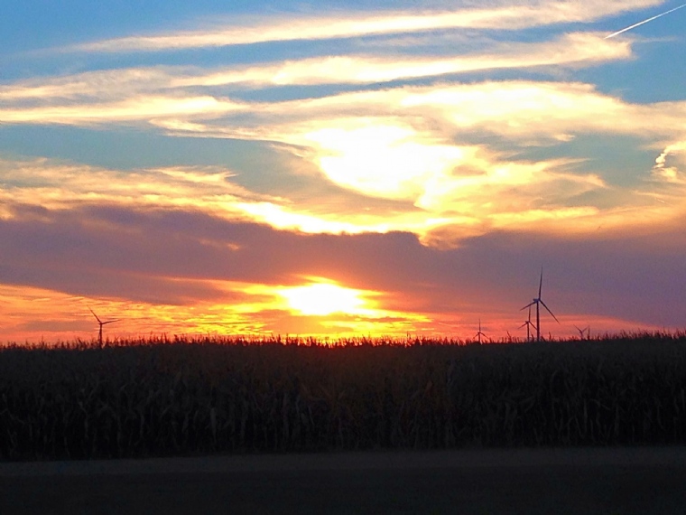 Sunset in the Fall Corn Field of Emersion Township
