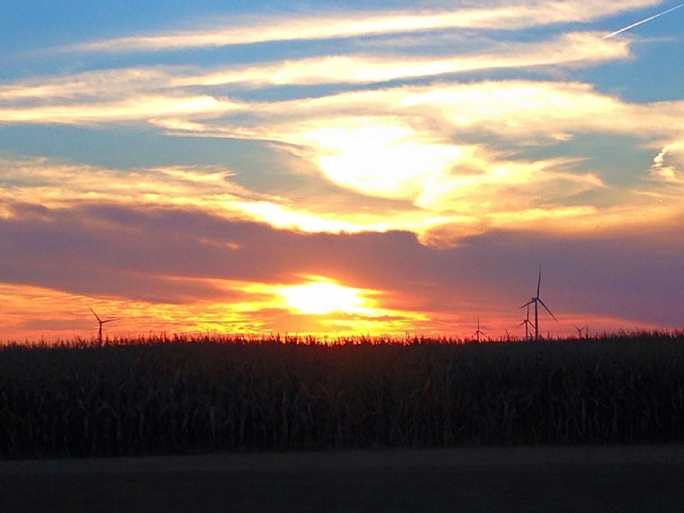Sunset in the Fall Corn Field of Emersion Township